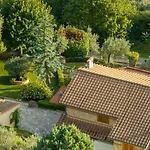 Tra Cielo E Ulivi, Pace E Bellezza In Umbria Terni