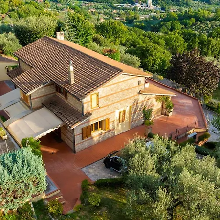 Tra Cielo E Ulivi, Pace E Bellezza In Umbria *