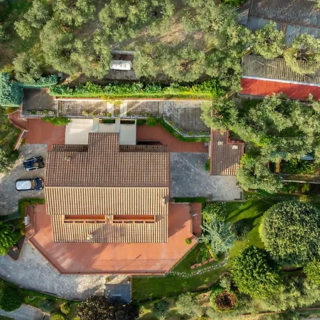 Tra Cielo E Ulivi, Pace E Bellezza In Umbria * Τέρνι