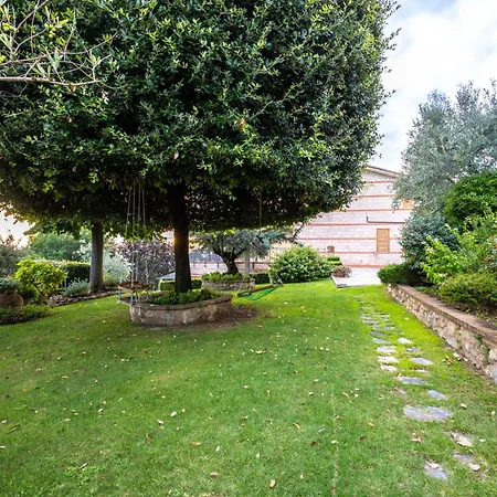 Tra Cielo E Ulivi, Pace E Bellezza In Umbria *