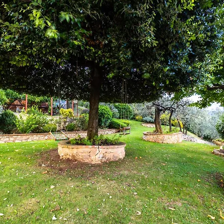 Tra Cielo E Ulivi, Pace E Bellezza In Umbria