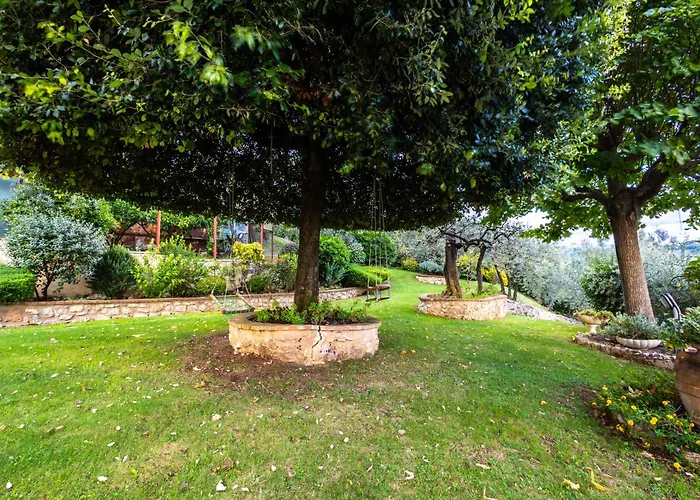 Tra Cielo E Ulivi, Pace E Bellezza In Umbria